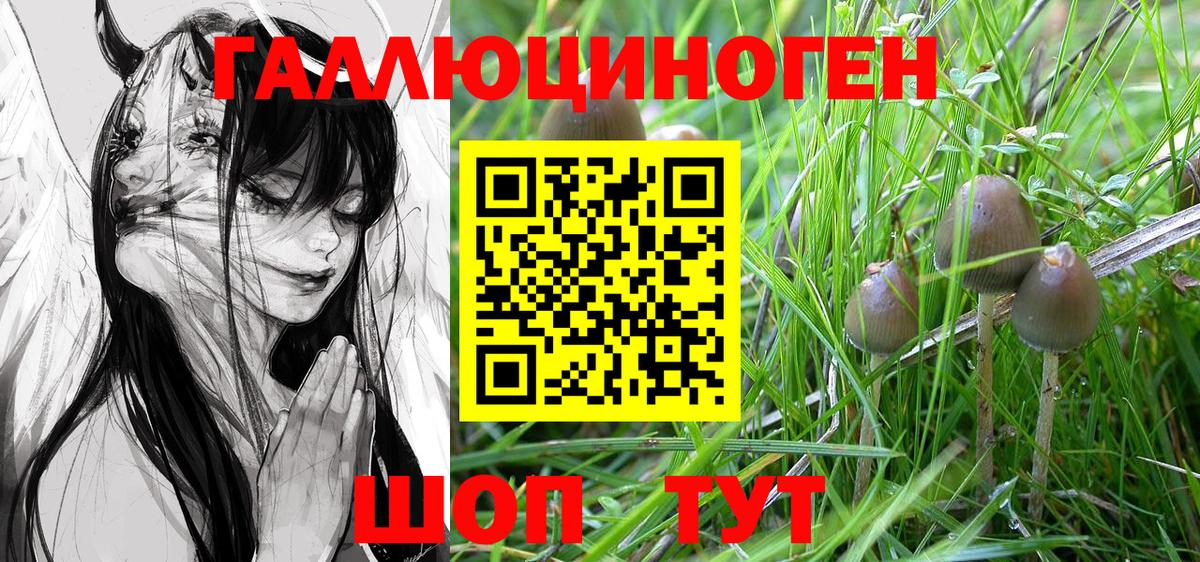 Орехово-Зуево  Галлюциногенные грибы Psilocybe  Вход с VPN 